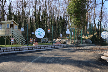08d86b16-4ca2-4ae6-8995-d86a74d38ba7.jpg